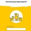 How does YOUR dog stack up? Take the test to find out exactly how rare your pet's name is - as UK-wide survey reveals Teddy and Poppy are the most common monikers