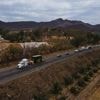 Tigers, jaguars and elephants are the latest to flee cartel violence in Mexico's Sinaloa