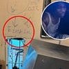 Nine violent inmates roam free after jaw-dropping prison break as shocking details emerge on how the were able to break out