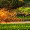 Git 2.50 kickt recursive raus – ORT regelt ab jetzt die Merges