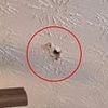 Stunning discovery after 'extraterrestrial visitor' smashes through Georgia home