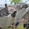 Investigators find cockpit voice recorder from crashed Air India flight