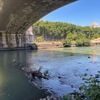 Wasserqualität: Rom will Fluss Tiber wieder badetauglich machen