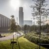 ‘We beseffen onvoldoende hoe erg het zal worden’: klimatoloog en landschapsarchitect over hittestress