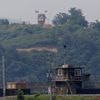 Nordkoreaner übertreten Grenze: Südkoreas Militär gibt Schüsse ab