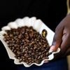 In coffee-producing Uganda, an emerging sisterhood wants more women involved