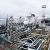 Ukrainischer Angriff im Norden: Drohnen legen erstmals Russlands wichtigstes Ostsee-Ölterminal lahm