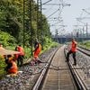 Feuer in Kabeltunnel: "Kommando Angry Birds" reklamiert Brandanschlag auf Bahnstrecke für sich