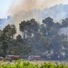 Incendie meurtrier dans l'Aude : une fois le feu éteint, comment faire renaître la forêt calcinée ?