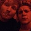 Niall Horan's affectionate response to Ed Sheeran's Instagram throwback as pair confirm their 'rift' is over... 11 years after One Direction star's 'fling' with Ellie Goulding