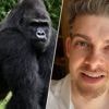 KIJK. “Honderd mannen winnen niet van één gorilla, zo simpel is het”: bizarre vraag zorgt voor verhitte discussies op sociale media
