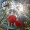 Quatre parcs d’attractions « slow tourisme » à découvrir dans le Morbihan