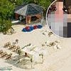 Exposed: Filthy wedding secrets of Hollywood's worst ever couple... whose breakup went on to transfix the planet