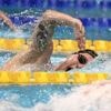 Deutsche Meisterschaften: Schwimmer Wellbrock holt WM-Startplatz - Zwei Rekorde