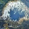 Warning as underwater volcano off US West Coast is rocked by 300 earthquakes: 'It could erupt any day'