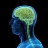 Les ultrasons, efficaces pour traiter les dépressions résistantes aux médicaments