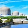 Produktion um Hälfte gedrosselt: Quallen stören Betrieb von französischem Atomkraftwerk
