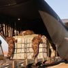 Landen droppen 90 palletten met hulpgoederen boven Gaza