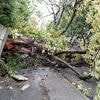 Zugausfälle, blockierte Straßen: Rekordsturm sorgt in Großbritannien für Reisechaos