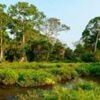 Charity linked to Prince Harry admits human rights abuses in Congo park
