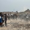 Meer dan 100 ngo’s roepen op tot einde belemmeringen bij levering hulp Gaza - Legerleider Israël keurt ‘hoofdconcept’ van nieuw offensief goed