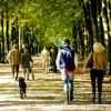 Nog heel even zonnig en warm, daarna duikt temperatuur flink omlaag