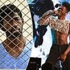 Lil Nas X facing YEARS in prison as he's charged with 4 felonies over public naked meltdown