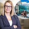 Boss of shopping centre owner Hammerson to step down after five years