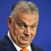 „Orban und seine Kumpanen“: Videoaufnahmen von Orban-Familiengrundstück sorgen in Ungarn für Empörung