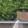 Man overmeesterd die van op dak in Ganshoren stenen naar hulpdiensten gooide