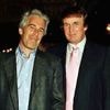 "Die Wahrheit kommt raus": Musk droht Trump mit den Epstein-Akten