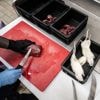 Deense dierentuin voert huisdieren aan roofdieren: acceptabel of ondenkbaar?