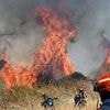 Wildfires burn through the night in Eastern Europe as over 50 blazes in Greece alone sees families evacuated from their homes