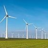 Netherlands RATIONS electricity as country struggles to cope with turning away from gas as part of green policies - as expert warns Britain is also 'in trouble'