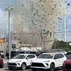 Huge explosion rocks North Carolina neighborhood after car crashed into veterinarian's offices