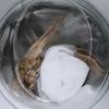 Der Waschmaschinenkiller: Warum Sie Ihrer Waschmaschine Pausen gönnen sollten