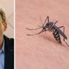 Vlaanderen roept op tot actie: ‘Leg de tijgermug droog’
