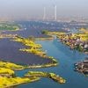 Setzen auf Solar- und Windkraft: China erreicht einen Meilenstein mit grünen Energien