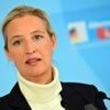 Le parti allemand AfD classé "extrémiste de droite avéré" par le renseignement intérieur