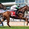 Robin Goodfellow's racing tips: Best bets for Saturday, May 3