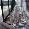 La justice reconnaît « l’indignité des conditions de détention » à la prison de Toulouse-Seysses