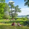 Potsdams Neuer Garten samt Badestelle gesperrt: Durch abbrechende Äste besteht Lebensgefahr
