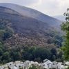 REPORTAGE. "L’aide a été lamentable"... Rentrés chez eux, les sinistrés des incendies en Espagne expriment leur colère contre les autorités
