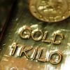 EZB-Experten warnen: Wie die Gold-Rally die Finanzstabilität gefährden könnte