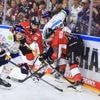 Acht Eisbären verstärken Eishockey-Nationalteam: Berlin dominiert nicht nur in der DEL