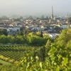 Les personnes vivant près de zones viticoles sont plus exposées aux pesticides que celles vivant loin de toute culture, selon une étude