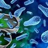 'Forever toxins' found in everything from cosmetics to waterproof clothing linked to weight struggle
