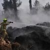 Große Landstriche abgebrannt: Brände bei Jerusalem laut Feuerwehr unter Kontrolle