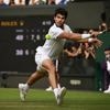 Wimbledon 2025. Dates, favoris, diffusion TV… Tout savoir sur le Grand chelem à Londres