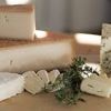 Riesiger Weichkäse-Rückruf: Zwei Tote und viele Erkrankte nach Listerien-Ausbruch in Frankreich